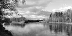 black and white river and wood nature landscape
